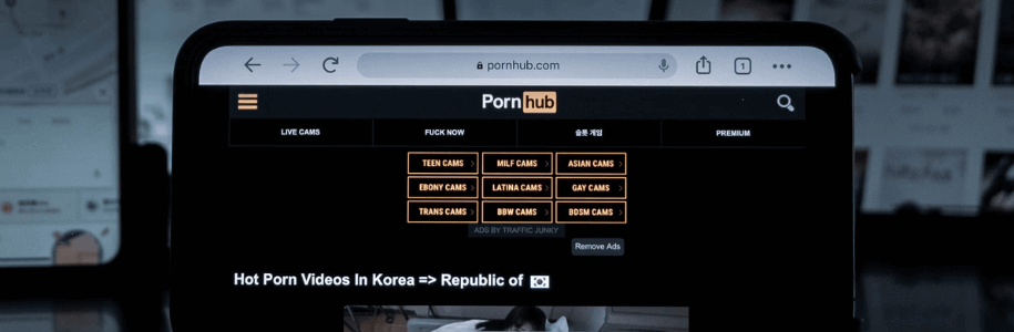 pornhub ban in USA